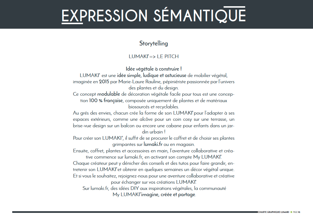 exemple de brand book sémantique